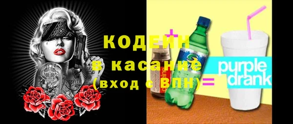 сатива Новодвинск