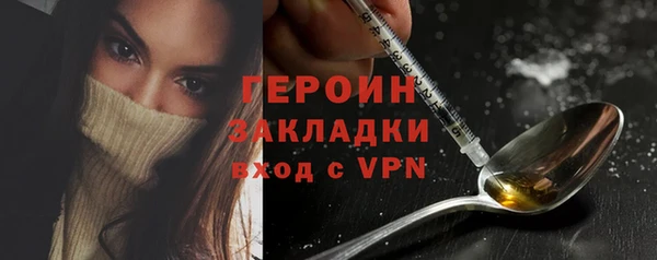 сатива Новодвинск