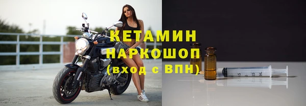 сатива Новодвинск