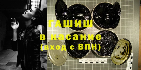 сатива Новодвинск