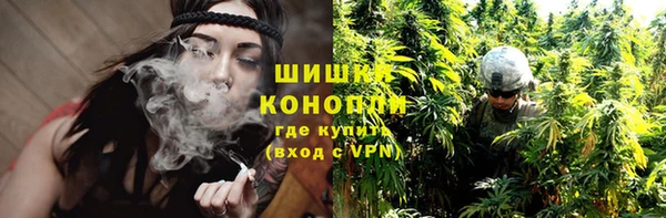 сатива Новодвинск