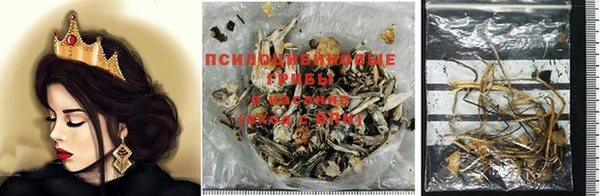 MDMA Premium VHQ Новозыбков