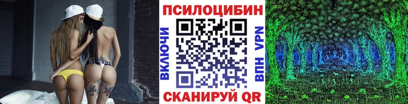 купить закладку Кировск Галлюциногенные грибы мухоморы