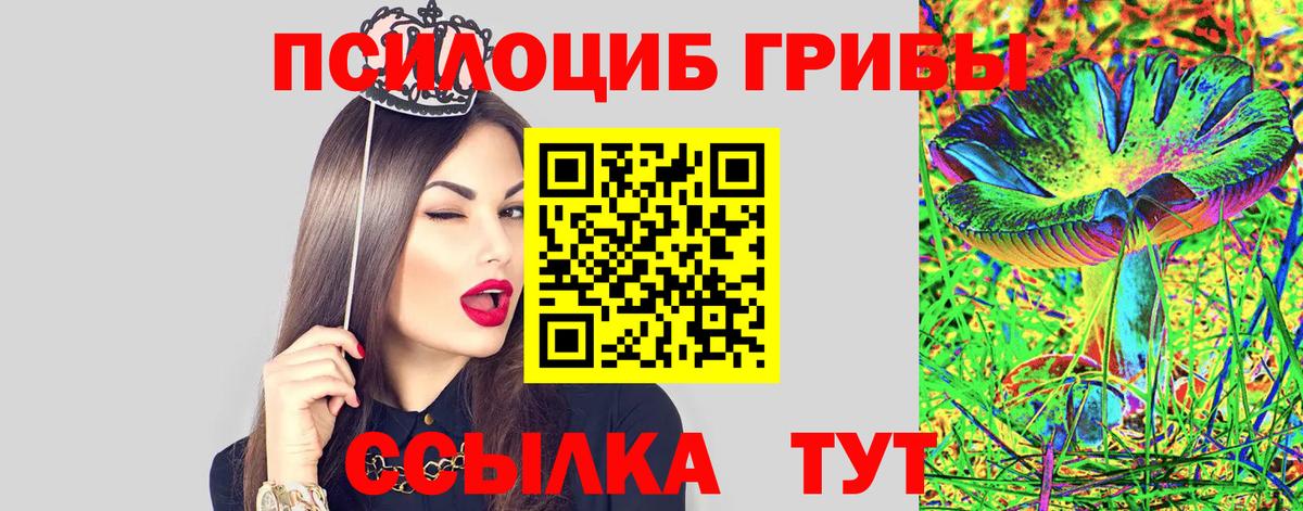 Галлюциногенные грибы GOLDEN TEACHER Кировск